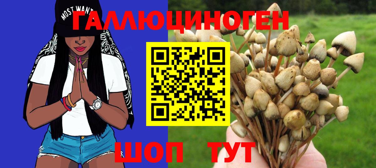 Галлюциногенные грибы Psilocybe  Вход с VPN  Мегион  Галлюциногенные грибы Cubensis 